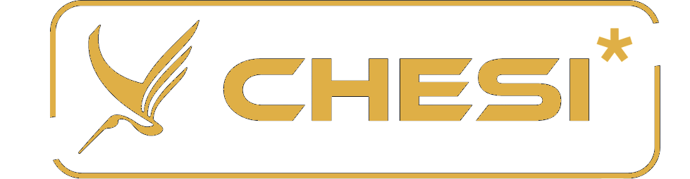 ChesiWMS Logo